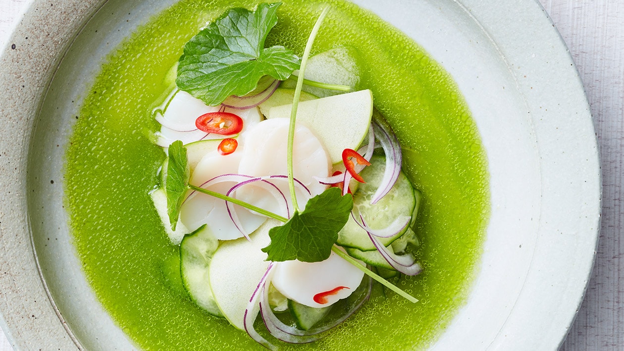 Ceviche van coquilles met groene appel, koriander en citrus Ceviche van coquilles met groene appel, koriander en citrus